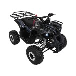Mamido Detská benzínová štvorkolka RamiGO WILDPEAK 110CC čierna