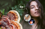 Hrotlife Reishi tinktúra