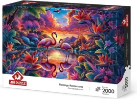 ART PUZZLE Puzzle Stretnutie plameniakov