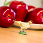 Safari Ltd. Safari Ltd. Ameraukana