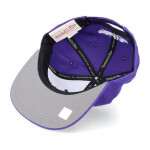 Mitchell & Ness NBA Los Angeles Lakers Top Spot Snapback Hwc Lakers HHSS3256-LALYYPPPPURP OSFM