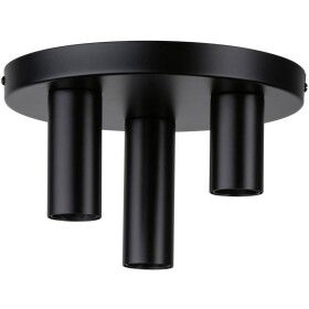 Paulmann 79761 stropné svetlo E27 čierna; 79761