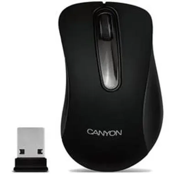 CANYON CNE-CMSW2 / optická bezdrôtová / 1200 dpi / USB / čierna (CNE-CMSW2)