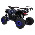 Mamido Detská benzínová štvorkolka RamiGO WILDPEAK 110CC čierno-modrá