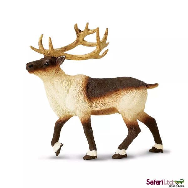 Safari Ltd. Safari Ltd. Sob