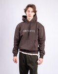 Carhartt WIP Hooded Carhartt Sweat Vitola/Citadel XL