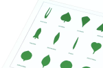 Moyo Montessori Moyo Montessori Tvary listov (karta)