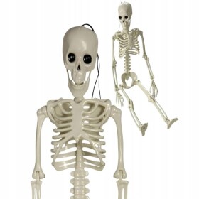 Verk Ľudská kostra skelet 40 cm halloween dekorácie