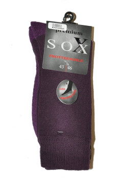 Pánské ponožky model 15859019 Premium Sox Frotte fialová 4346 - WiK