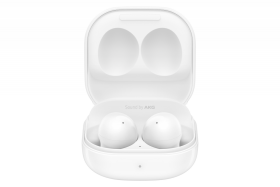 Samsung Galaxy Buds 2 (SM-R177NZWAEUE / SM-R177NZWADBT )