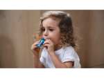 PlanToys PlanToys Píšťalka - delfín