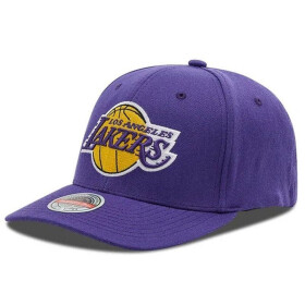 Mitchell & Ness NBA Los Angeles Lakers Team Ground 2.0 Stretch Snapback Cap HHSS3257-LALYYPPPPURP OSFM