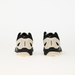 Tenisky Nike Air Pegasus 2005 Pale Ivory/ Metallic Silver-Coconut Milk EUR 42.5