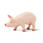 Safari Ltd. Safari Ltd. Figúrka - Kanec ošípanej domácej