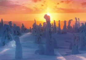 Trefl - Puzzle - Fínska príroda