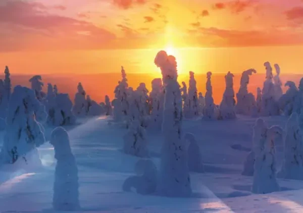 Trefl - Puzzle - Fínska príroda