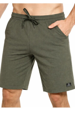 PÁNSKE ŠORTKY TS001 khaki M