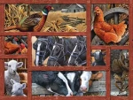 COBBLE HILL Puzzle Priatelia na farme XL