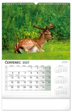 NOTIQUE Nástenný kalendár Poľovnícky 2027 / 33 × 46 cm