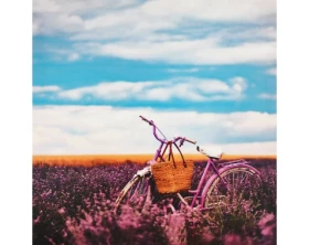 Obraz na plátne Bicykel v levanduli, 50x50 cm%