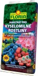 AGRO FLORIA Substrát pre kyslomilné rastliny 50 l