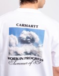 Carhartt WIP S/S Warm Views T-Shirt White M