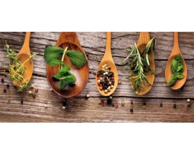 Obraz na stenu Korenie, 70x33 cm%