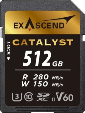 ExAscend Catalyst SDXC 512 GB Class 10 UHS-II/U3 V60 (EX512GSDV60)