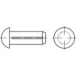 TOOLCRAFT 136529 pologuľatý ryhovaný klinec (Ø x d) 3 mm x 7 mm ocel 500 ks; 136529