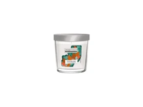 Yankee Candle Hi Tumbler Stredná Frosted Pine (5038581159195)