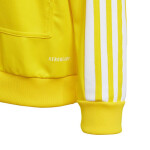 Squadra 21 Hoody Youth Jr GP6431 Adidas