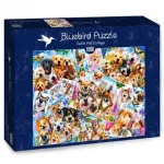 BlueBird Puzzle Koláž zvieracích selfie