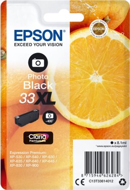 Epson 33XL (Photo Black)