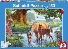 Schmidt Puzzle Kone v rieke