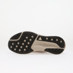 Tenisky Nike ACG Pegasus Trail GORE-TEX Cream II/ Light Orewood Brown EUR 42.5