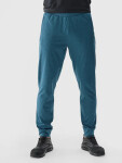 Pánske športové nohavice 4F 3XL