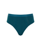 Panache Adore Deep Brief teal 10654