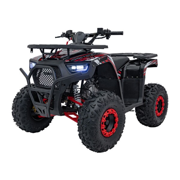 Mamido Detská benzínová štvorkolka RamiGO DISCOVERER 125CC čierno-červená