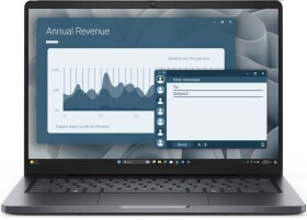 Dell Pro 14 PC14255 Ryzen 5 220 / 8 GB / 256 GB / W11 Pro (BTO502_PC14255_EMEA)