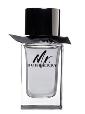 Burberry Mr. Burberry - EDT 50 ml