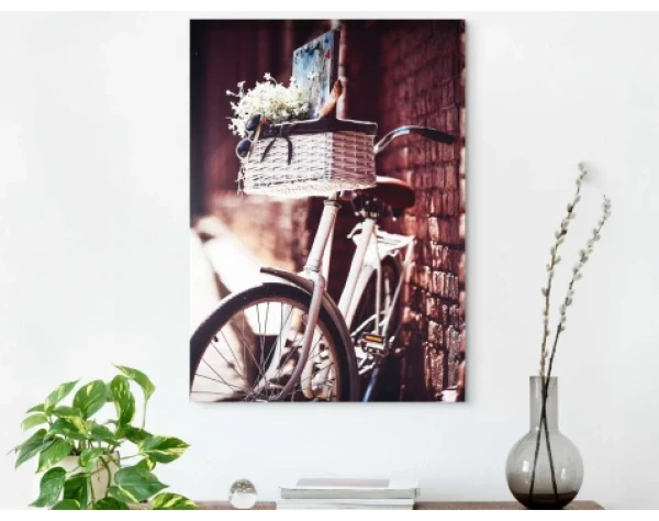 Obraz na plátne Bicykel s košíkom, 50x70 cm%