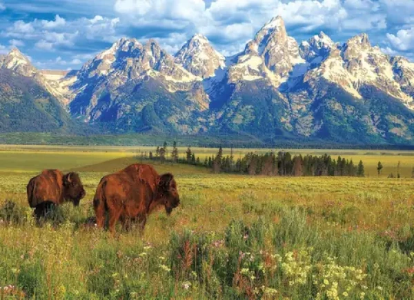 EUROGRAPHICS Puzzle Národný park Grand Teton