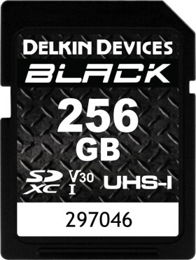 Delkin Black Rugged SDXC 256 GB Class 10 UHS-I V30 (DDSDBLK256GB)