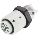 Wieland Electric RST16I3/2S B1 M02 GL 46.031.5054.0 guľatý faston, 1 ks; 46.031.5054.0