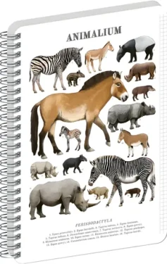 NOTIQUE Animalium - Nepárnokopytníci / Špirálový blok / A5 / štvorčekový