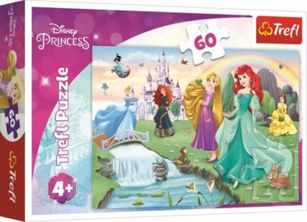 Trefl - Puzzle - Zoznámte sa s Disney princeznami