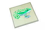 Moyo Montessori Moyo Montessori Puzzle s kostrou - žaba