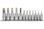 YATO YT-04332 / Bity Torx bezpečnostná sada 12 ks (CrV 6150) (YT-04332)