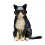 Mojo Mačka čiernobiela sediaca