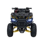 Mamido Detská benzínová štvorkolka RamiGO DISCOVERER 125CC čierno-žltá